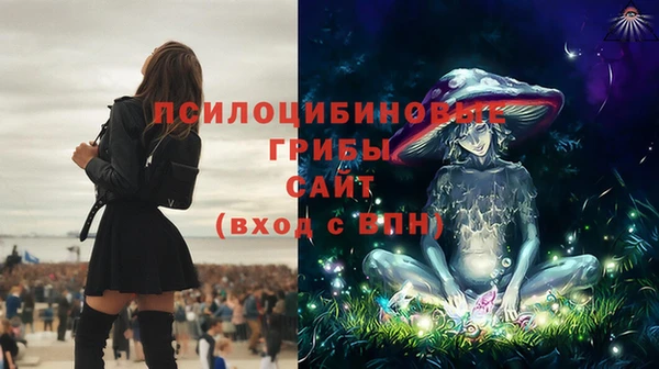 марки nbome Беломорск