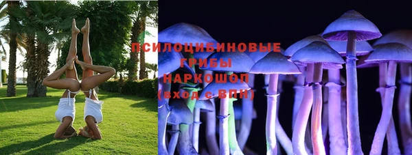 МДПВ Белокуриха